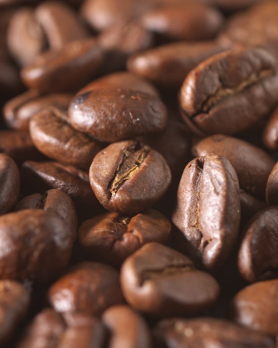Burr Coffee Grinder