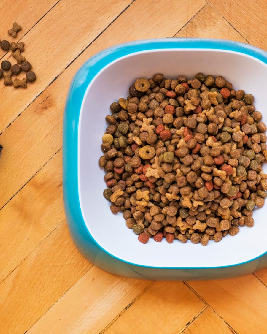 Elevated Ceramic Bowls